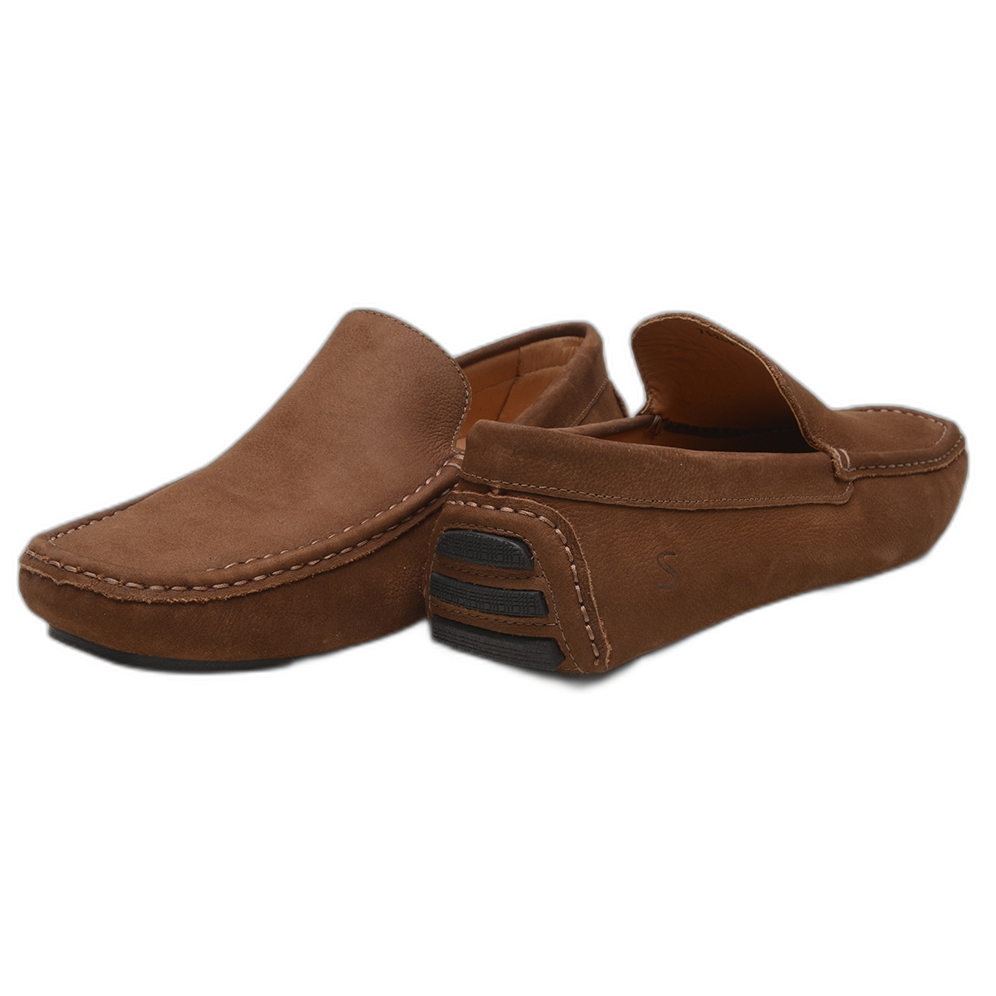 The Paddock — back